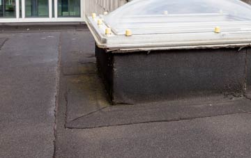 disadvantages of Crosscanonby flat roofs
