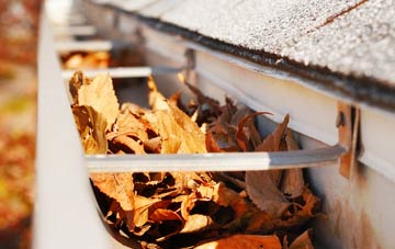 Crosscanonby gutter cleaning companies